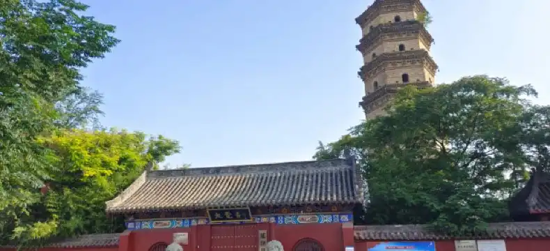 Hotels in Yanjin