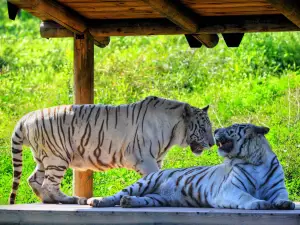 Taiyuan Zoo