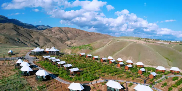 伊犁天山花海景區