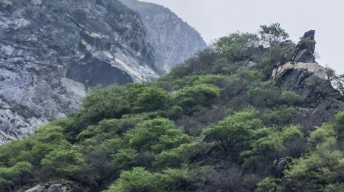 仙峪景区