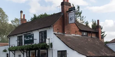 The Greene Oak