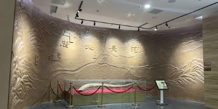 Tanghe Museum