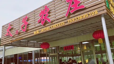 太子农庄 in Enping
