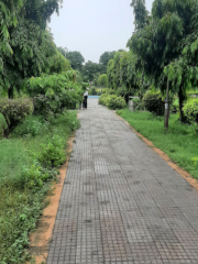 Vivekanand (Sindhi) Park