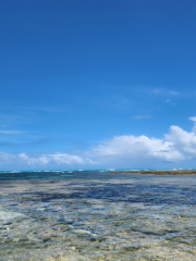 Área de Proteção Ambiental Costa dos Corais