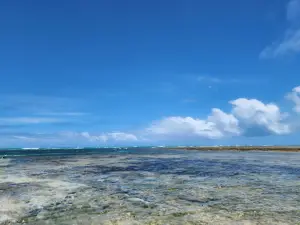 Área de Proteção Ambiental Costa dos Corais