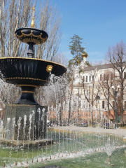 Fountain in Cathedral Square