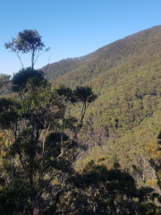 Mount Imlay National Park