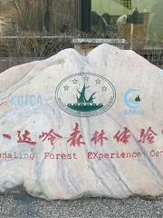 Badaling Forest Experience Hall