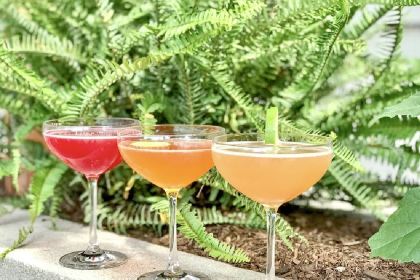 OAK Long Bar + Kitchen