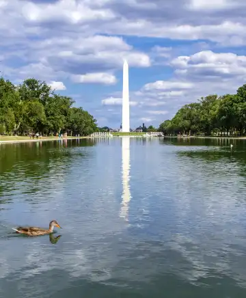 鄰近國家廣場的酒店