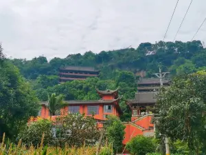 김룡사