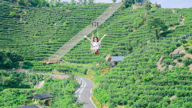 hei mi feng xing kong cha yuan