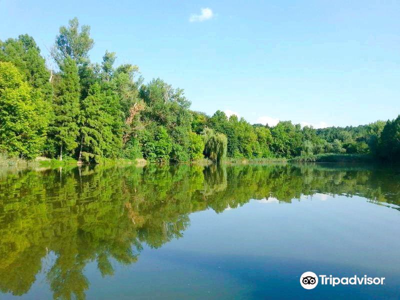 Lipnik Forest Park