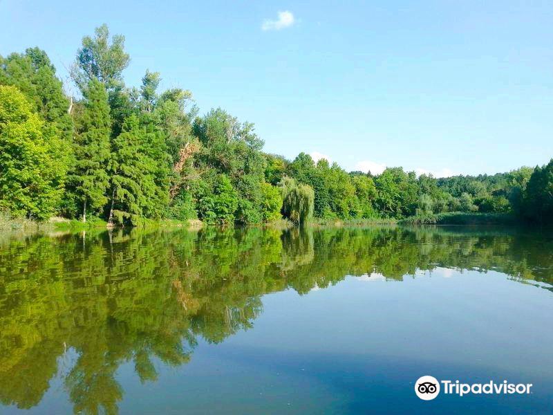 Lipnik Forest Park