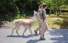 Toronto Zoo