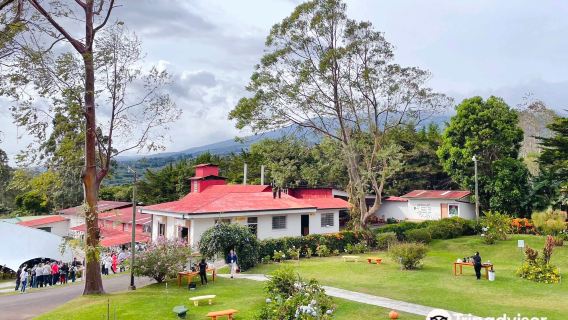 Doka Estate Costa Rica Coffee Tour and Plantation