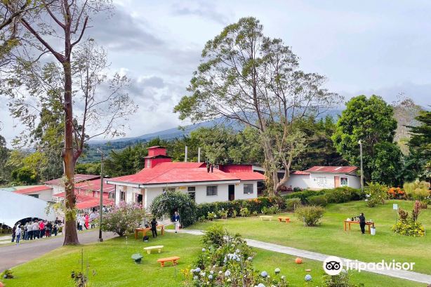 Doka Estate Costa Rica Coffee Tour and Plantation