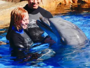 SeaWorld San Diego