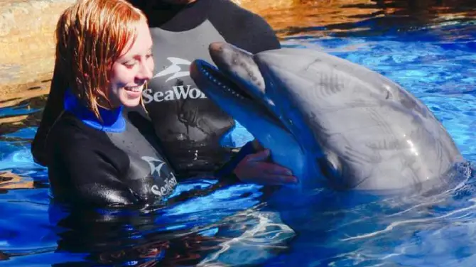 2_SeaWorld San Diego