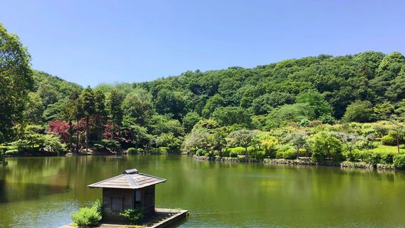 Shikisai no Mori Yakushiike Park