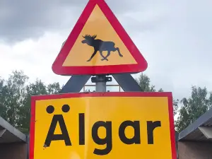 Laganland Älgpark