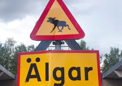 Lagan