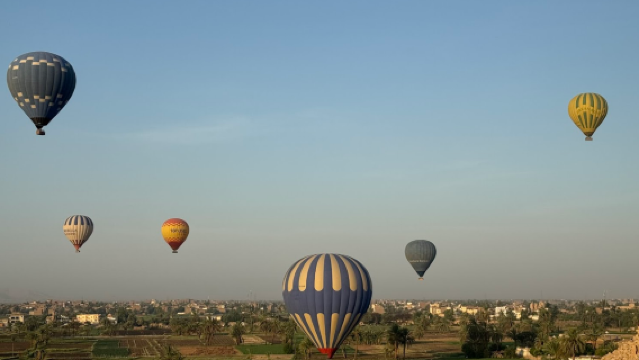 Blue Bird Balloon's Co.