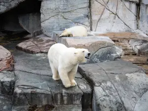 Zoológico de Copenhague