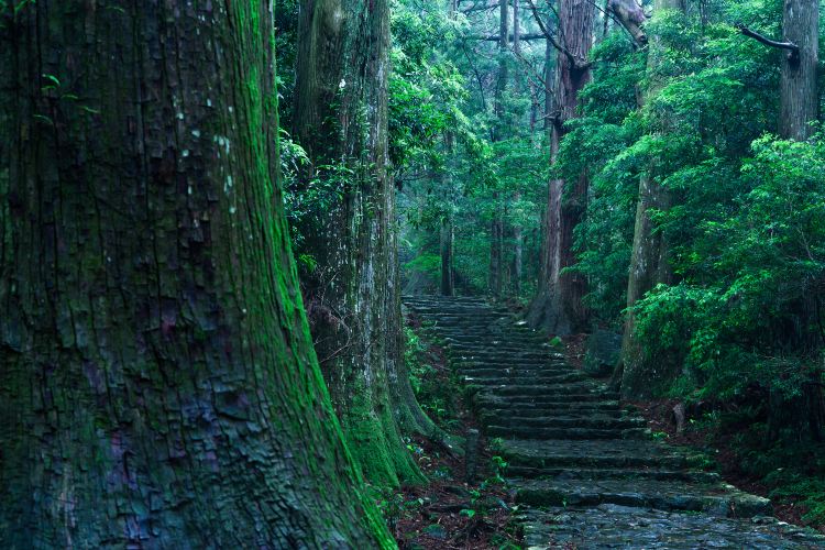 14位 石見銀山遺跡とその文化的景観|銀山と歴史ある町並みを散策できる