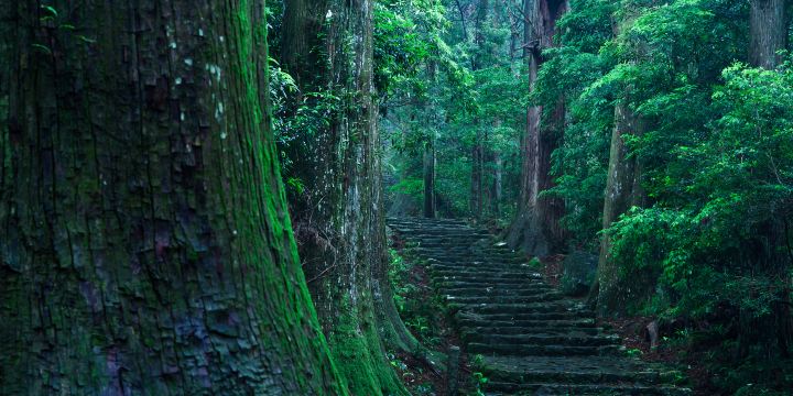 Kumano Kodo