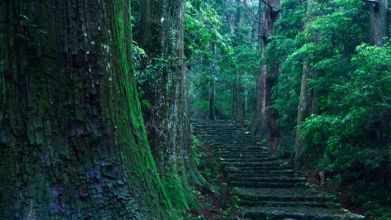 Kumano-Kodo Nakahechi Pilgrimage Route