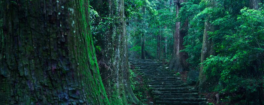Kumano-Kodo Nakahechi Pilgrimage Route