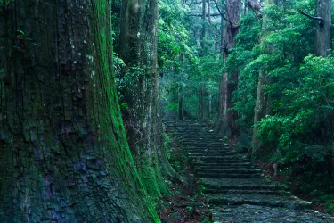 Kumano-Kodo Nakahechi Pilgrimage Route