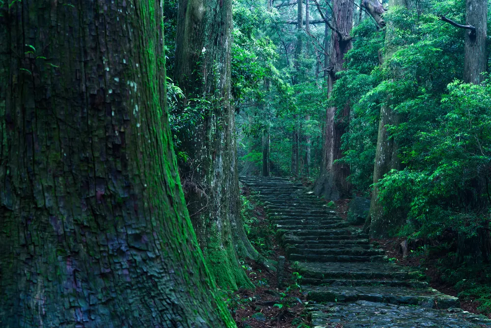 熊野古道