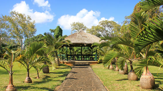 Sir Seewoosagur Ramgoolam Botanical Garden