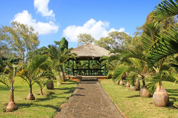 Sir Seewoosagur Ramgoolam Botanical Garden