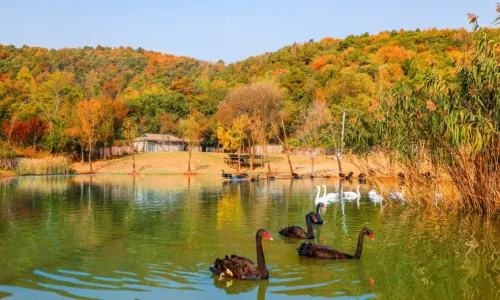 Taihu Lake Longemont Paradise