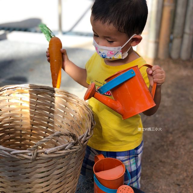 《小農夫後花園種植場》