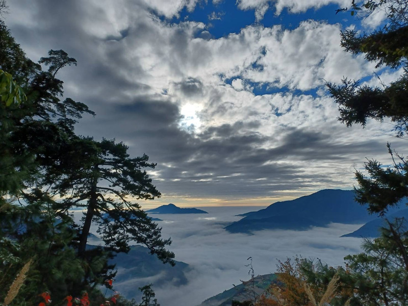 福壽山農場用戶評價