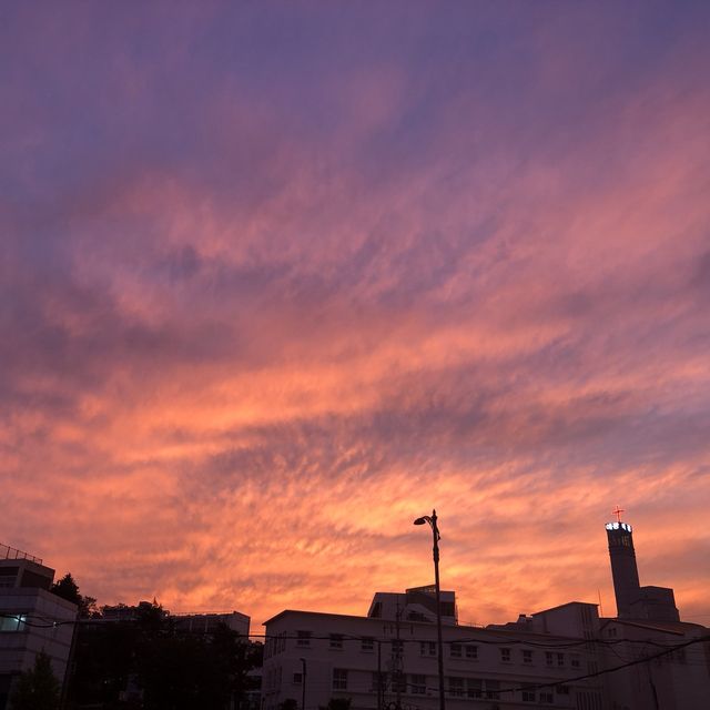 [부산] 동해선 교대역