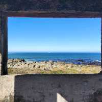 The Magic of Western Cape and SA unspoil