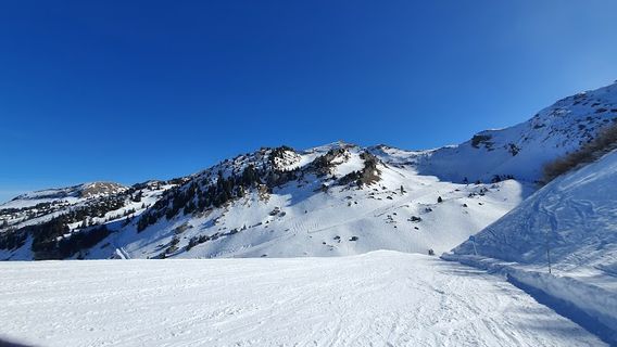 沙泰勒