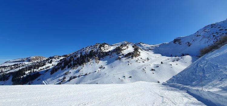 Caisses de Pierre Longue