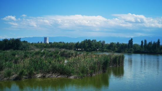 在伊犁河边，海景公园前拍的，太美了！你们也来看看吧！