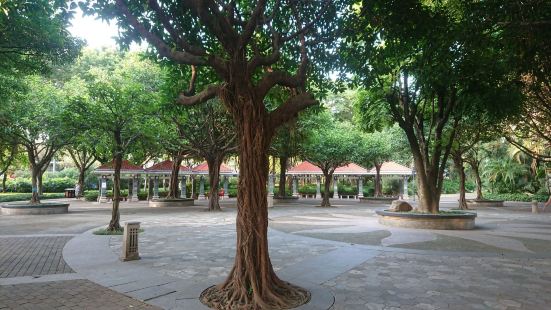 Shayuan Park