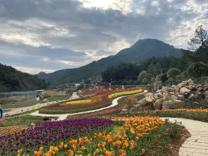 茶鄉花海景區