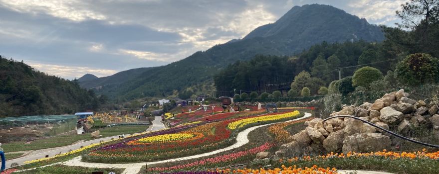 Chaxianghuahai Sceneic Area