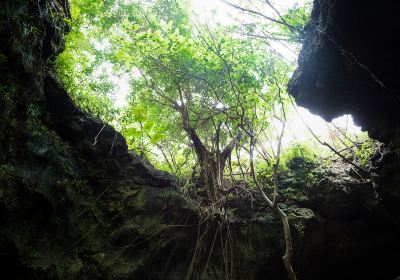 Ishigaki Stalactite Cave