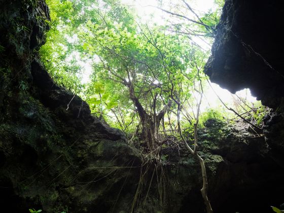 Ishigaki Stalactite Cave